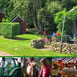 Séjour à la ferme Stutteri Skandihest, Billund